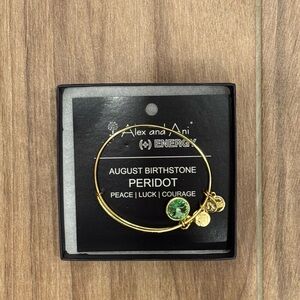 Alex and Ani Gold Charm Bracelet